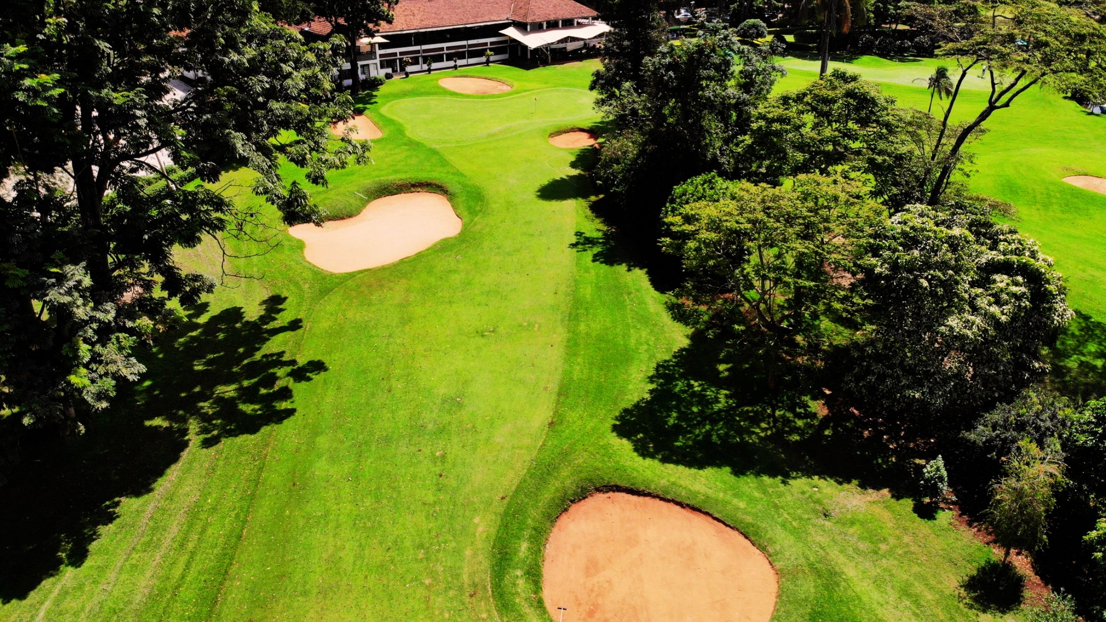 Best Golf Courses in Kenya to Play After Training